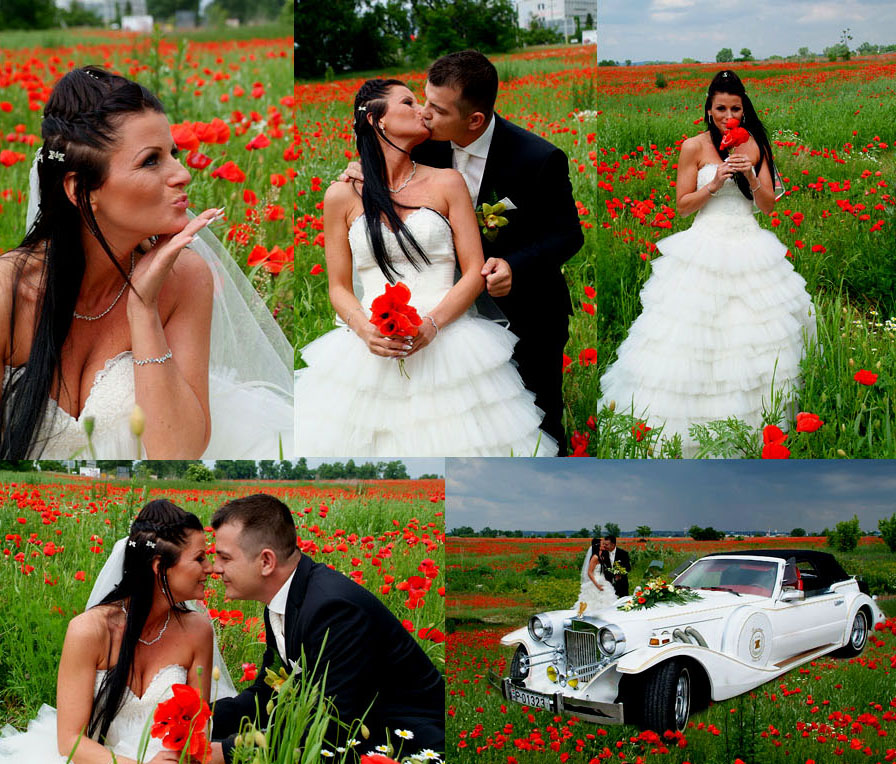 pipacsmező és esküvői fotó